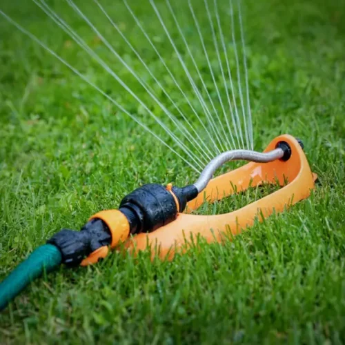 Weak Lawn Roots - Improve Growth With Better Watering
