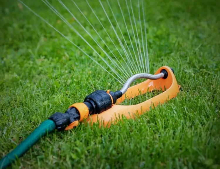 Weak Lawn Roots - Improve Growth With Better Watering