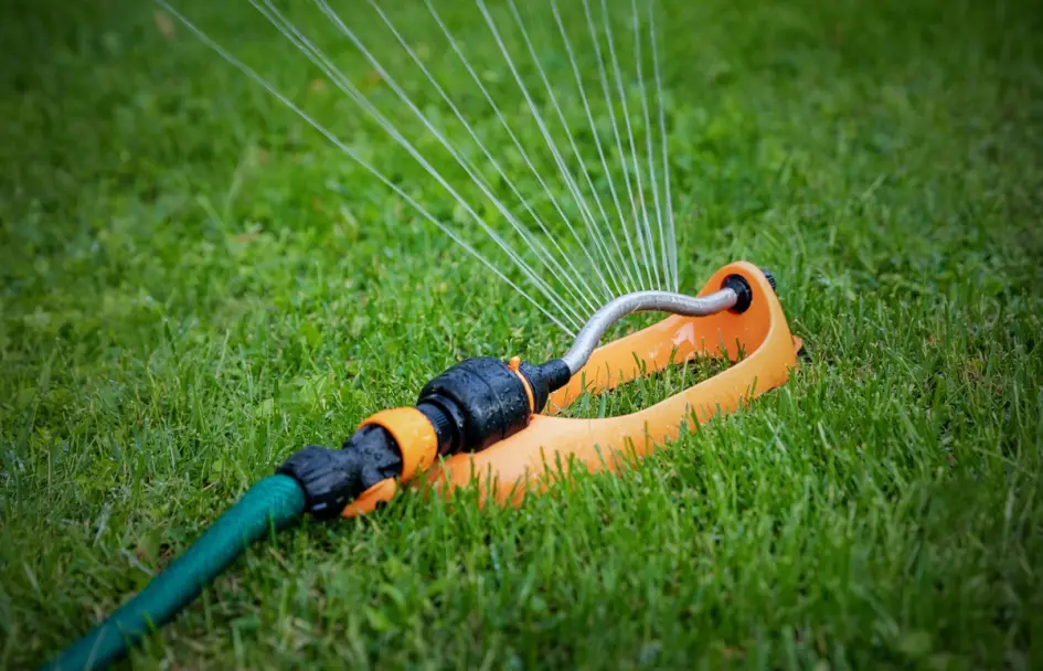 Weak Lawn Roots - Improve Growth With Better Watering