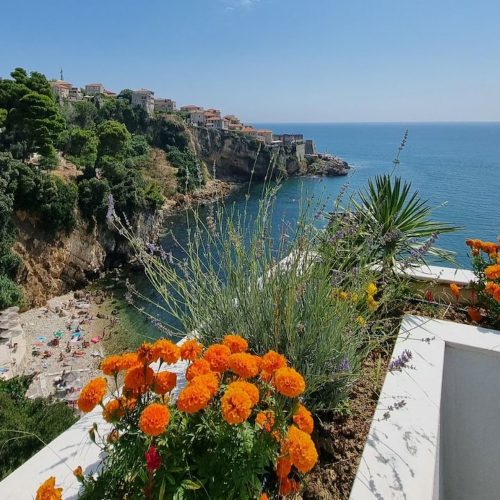 Windy Balcony Areas - Protect Plants From Strong Gusts