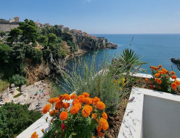 Windy Balcony Areas - Protect Plants From Strong Gusts