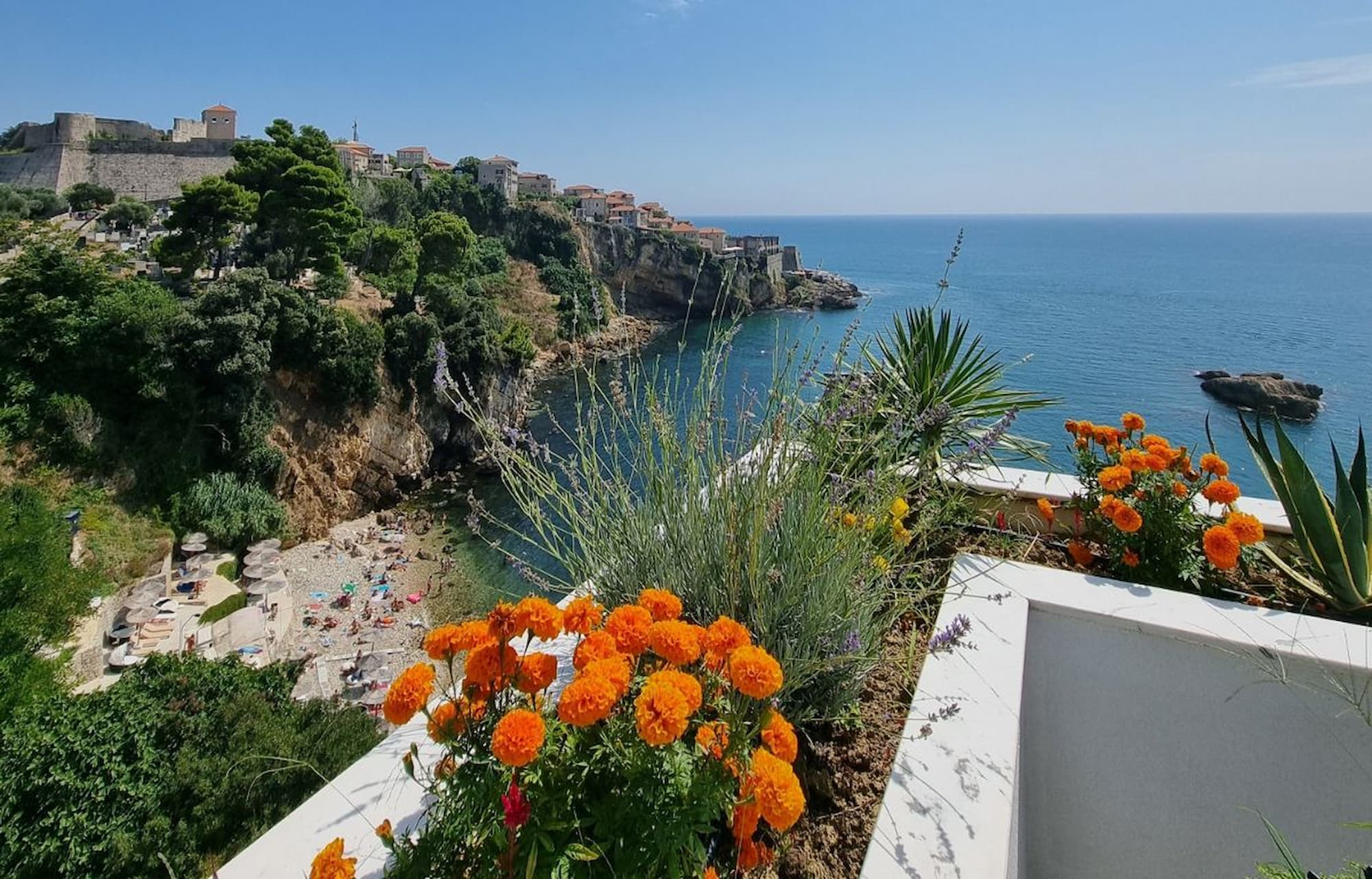 Windy Balcony Areas - Protect Plants From Strong Gusts