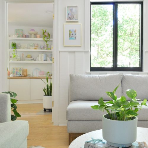 Weak Indoor Plants: Improve Light Before Adding Water