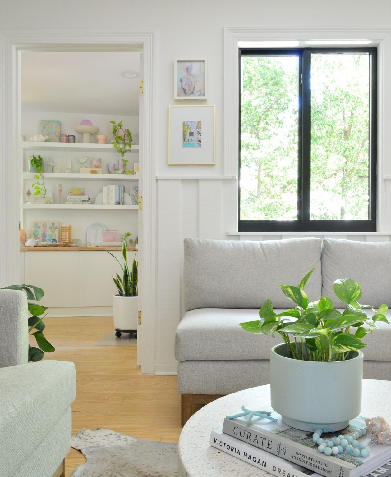 Weak Indoor Plants: Improve Light Before Adding Water