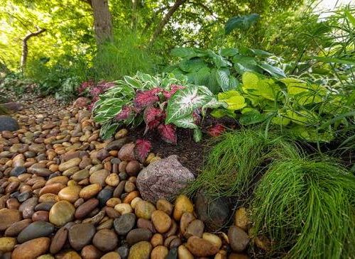 Weak Garden Drainage - Prevent Water Pooling Around Plants