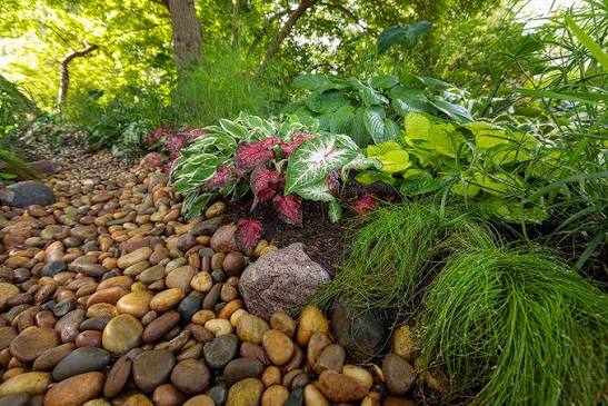 Weak Garden Drainage - Prevent Water Pooling Around Plants