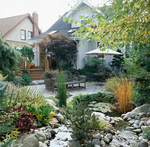 Overgrown Garden Beds - Restore Order With Simple Pruning