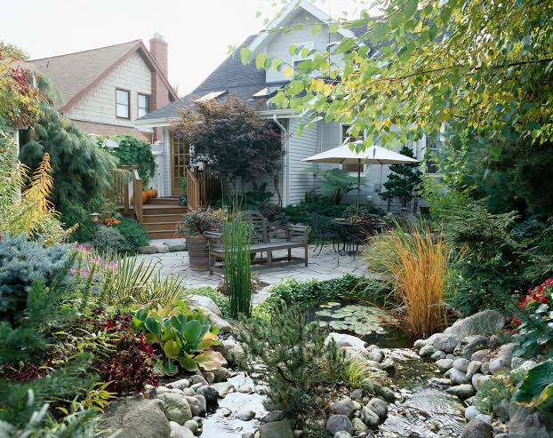 Overgrown Garden Beds - Restore Order With Simple Pruning