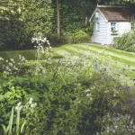Shady Garden Corners – Grow Plants Suited for Shade