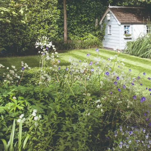 Shady Garden Corners - Grow Plants Suited for Shade