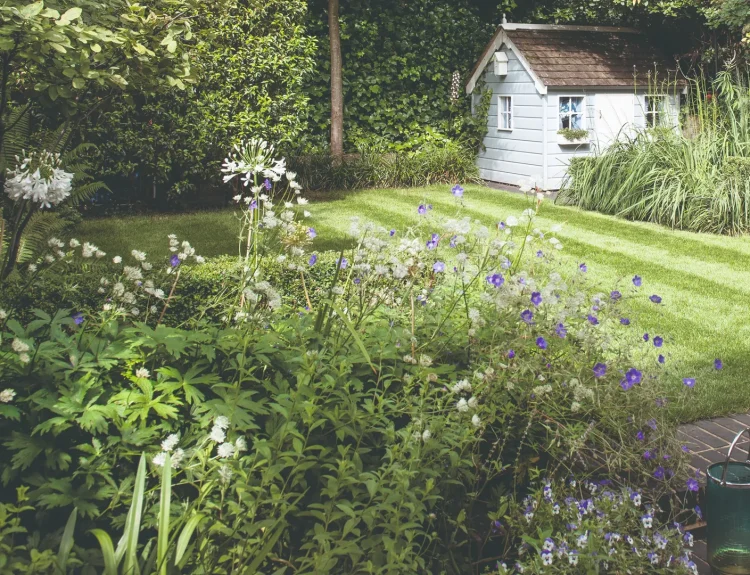 Shady Garden Corners - Grow Plants Suited for Shade
